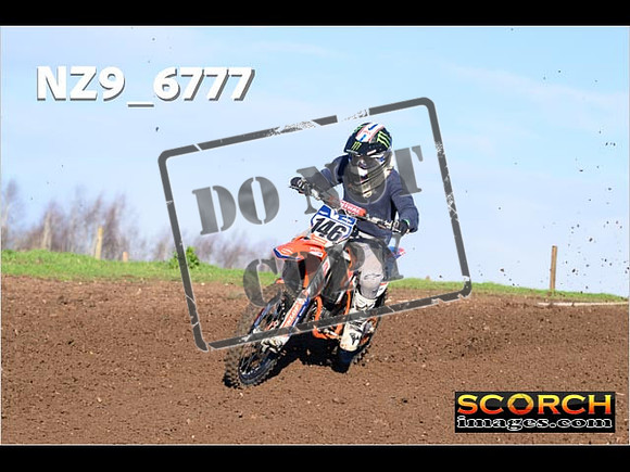 IntersGreenOrange-223