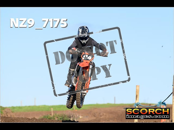 IntersGreenOrange-283