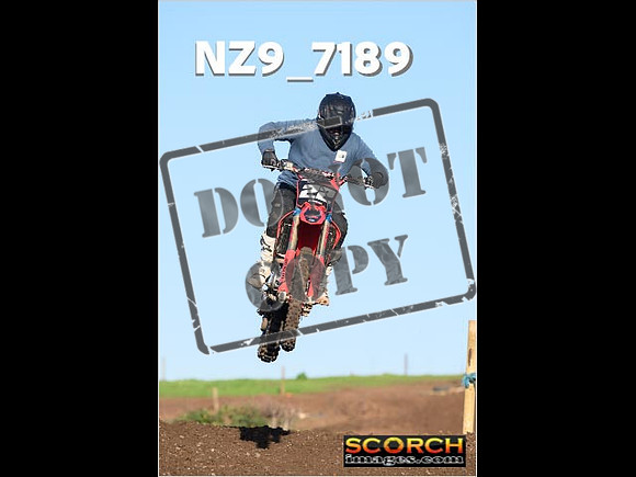 IntersGreenOrange-297