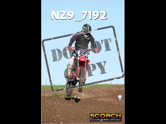 IntersGreenOrange-299