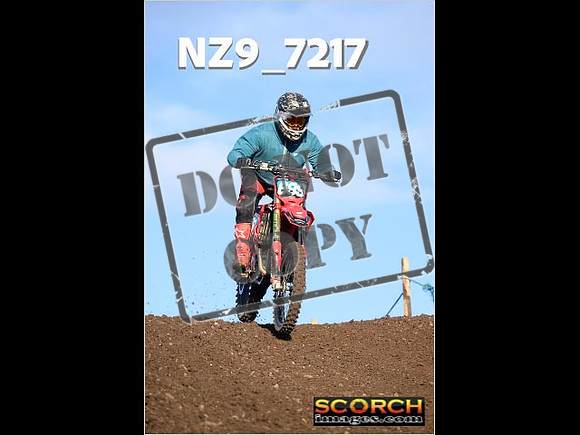 IntersGreenOrange-322