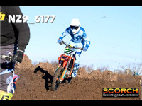 IntersGreenOrange-003