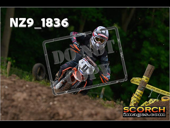 Experts-057
