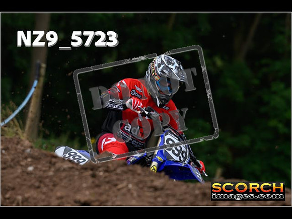 Experts-120