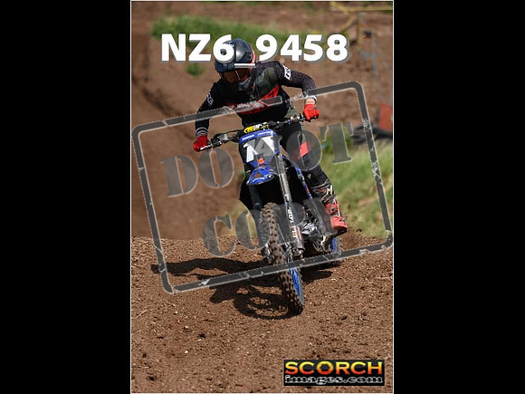Experts-223