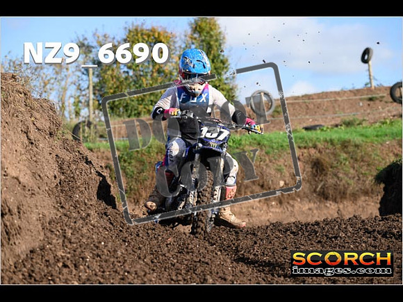 Experts-086