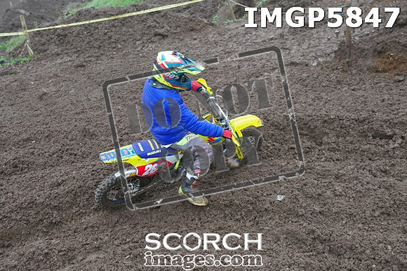 IMGP5847