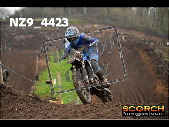 Experts-265