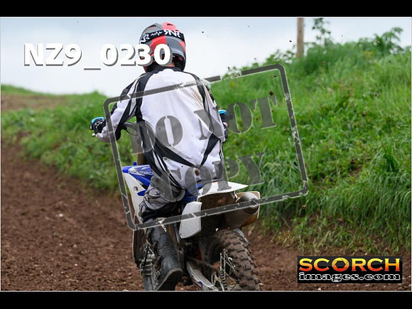 IntersGreen-180