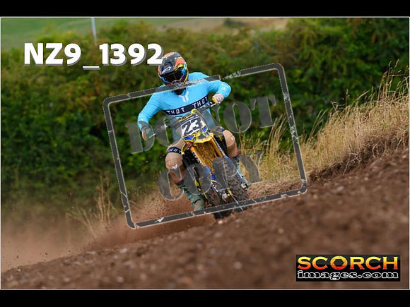 IntersBlue-253