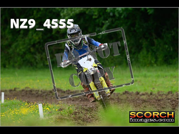 Experts-271