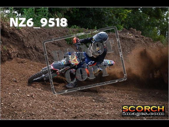 Experts-281