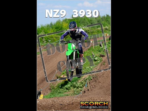 InterGreen-213