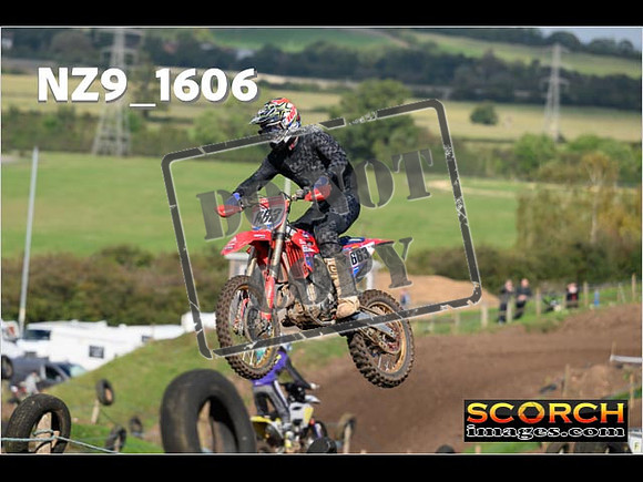 Experts-288