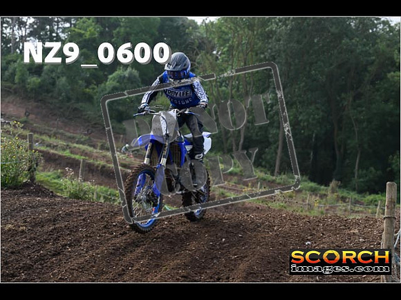 Intermediates-099