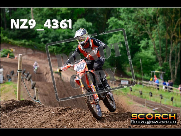 Experts-034