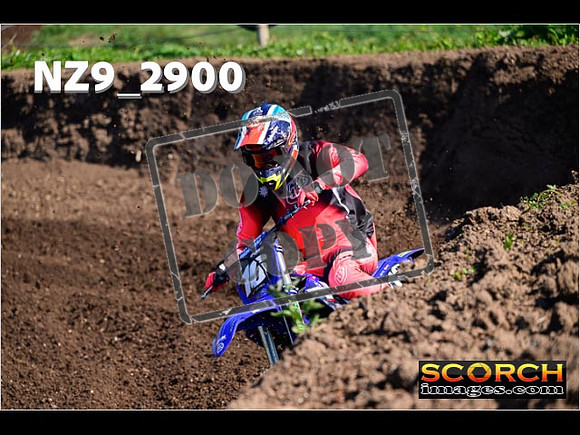 Experts-072