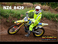 InterGreen-012