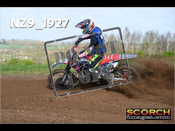 Experts-067