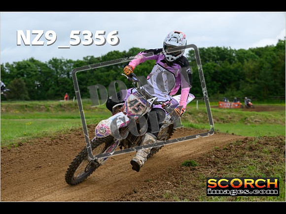 Experts-292