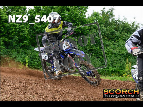 Experts-341
