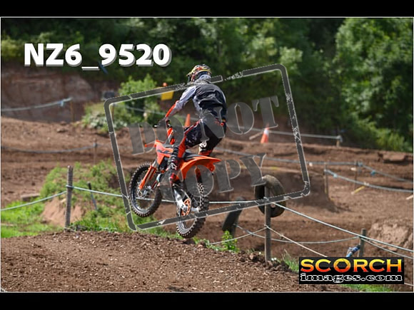 Experts-283