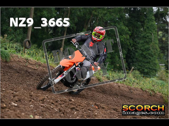 IntersGreenOrange-031