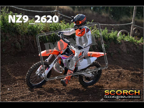 IntersGreenOrange-020