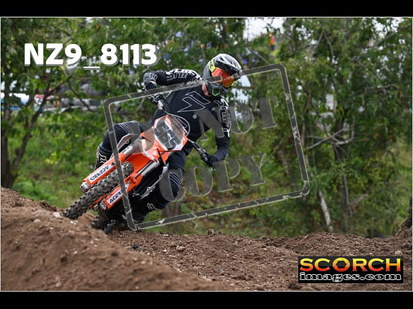 Experts-054