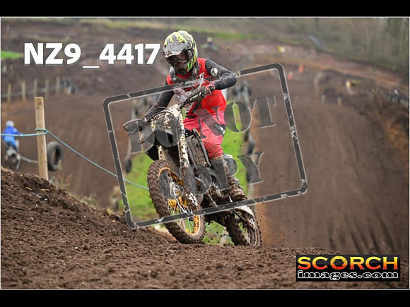 Experts-260