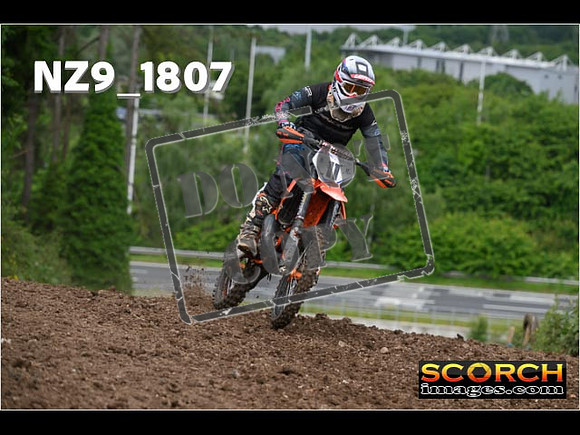 Experts-031