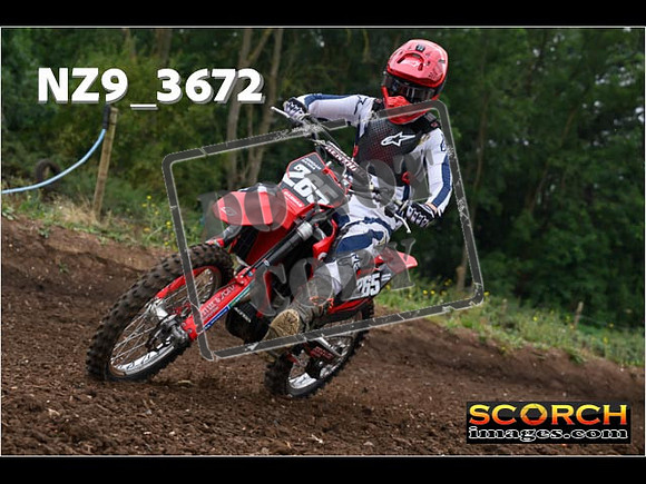 IntersGreenOrange-037