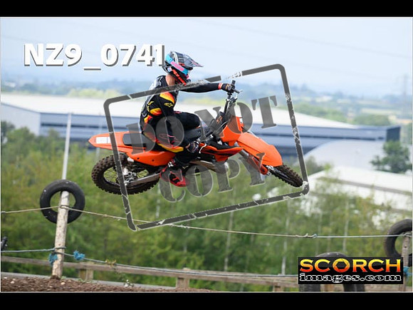 Experts-099