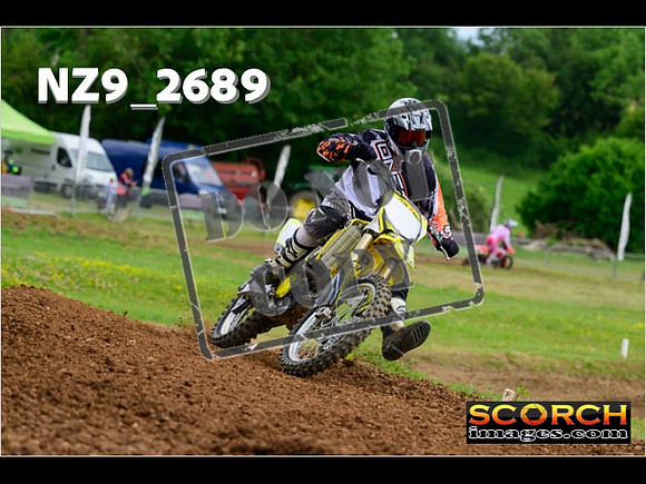 Novice-278
