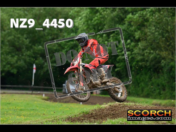 Experts-168