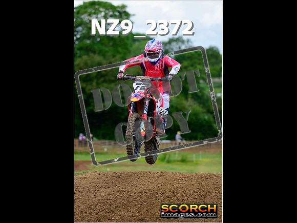 Novice-219