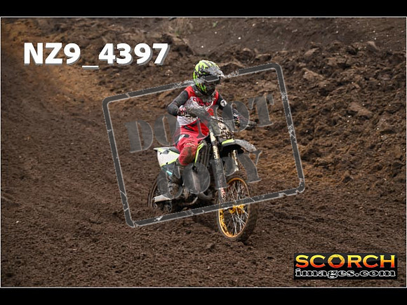 Experts-242