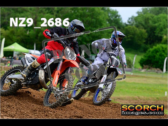 Novice-275
