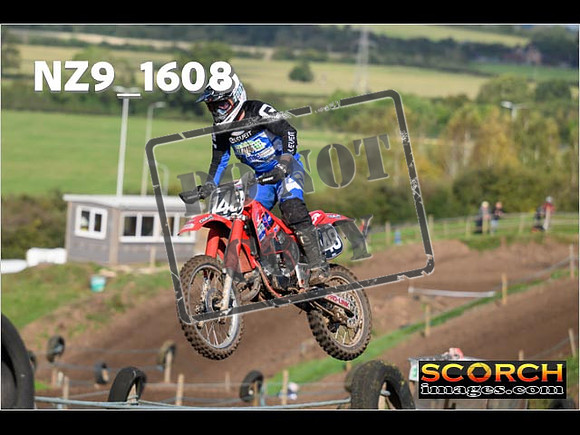 Experts-290
