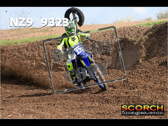Experts-024