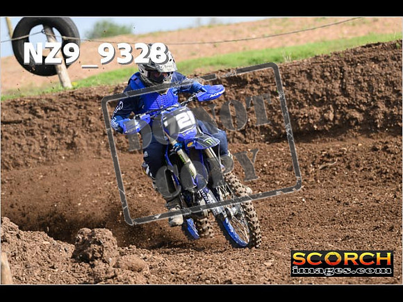 Experts-029