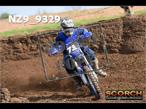Experts-030
