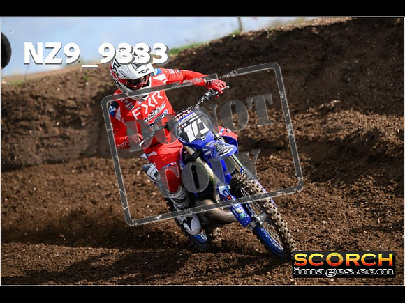 Experts-034