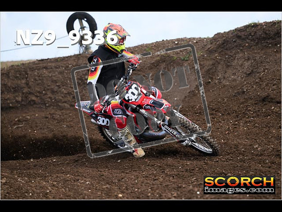 Experts-037