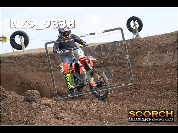 Experts-039