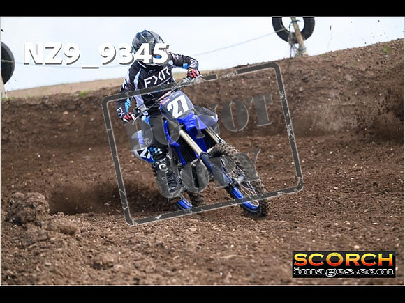 Experts-046