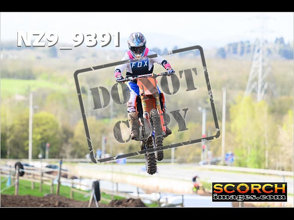 Experts-088