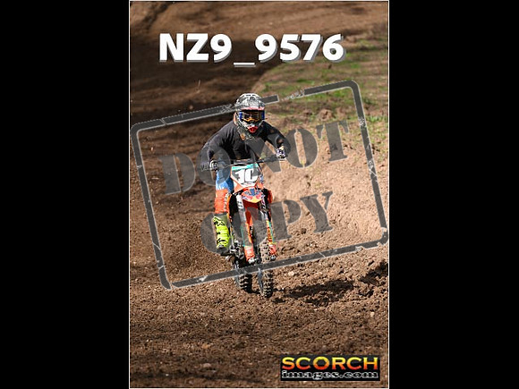 Experts-093