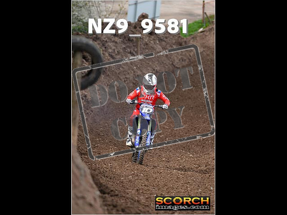 Experts-098
