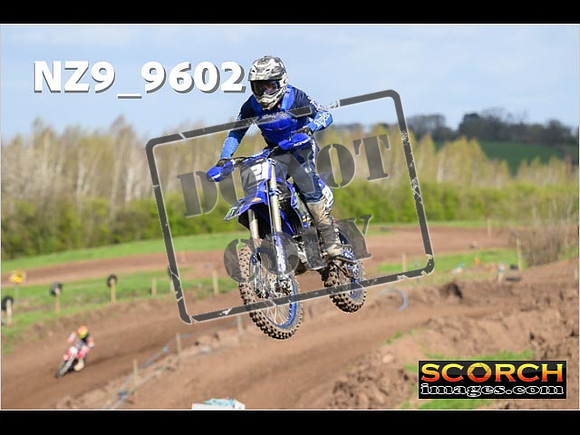 Experts-116